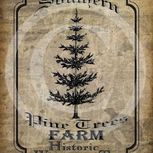 Primitive Vintage Pine Tree Farm Christmas Pantry Logo Label Jpeg Digital File for Crock  Jar, Labels, Pillows, Doll