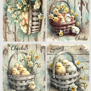 May include: Set of four 4x5 inch printable images featuring spring chicks in a weathered basket with daffodils. The text "Spring is in the Air", "Spring", "Chicks", "for Sale", and "Thyme" are included in the images.