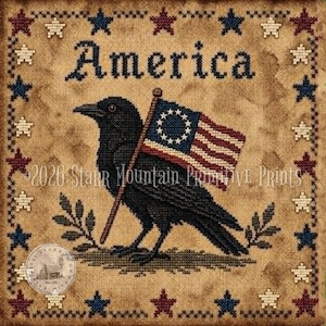 Può includere: Un disegno a punto croce con un corvo nero che tiene una bandiera con un cerchio di stelle e strisce rosse e bianche. La parola "America" è ricamata sopra il corvo. Il disegno è incorniciato da stelle.