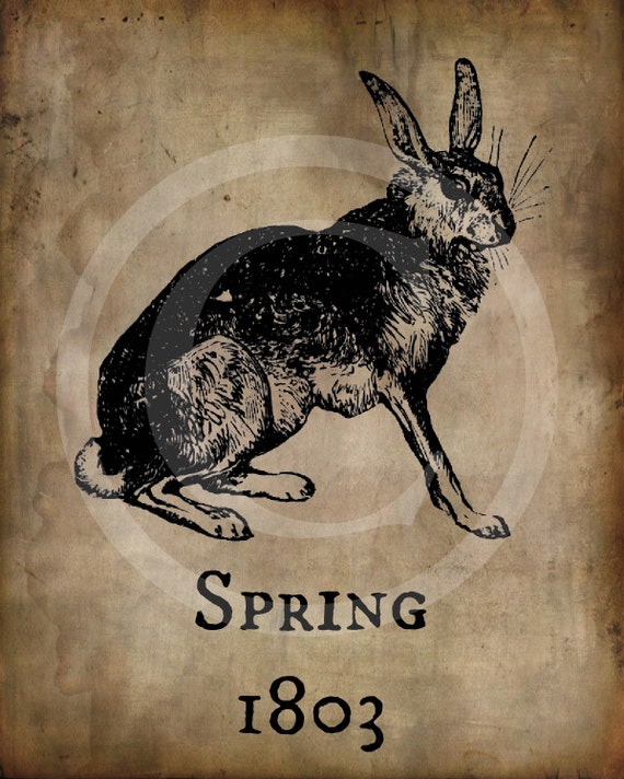 Primitive Spring 1803 Hare Bunny Rabbit Print Jpeg Digital | Etsy