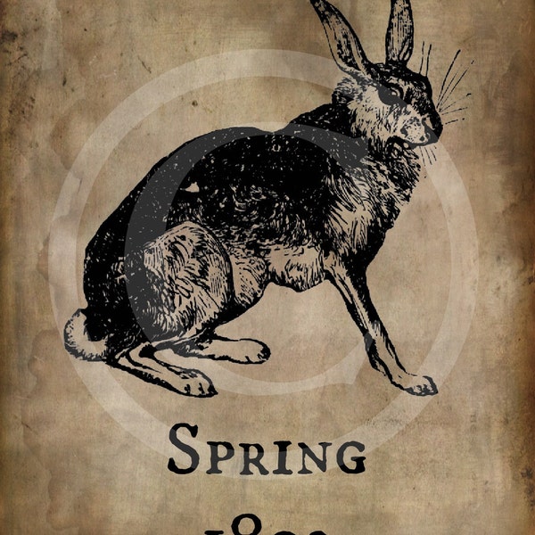 Primitive Spring 1803 Hare Bunny Rabbit  Print Jpeg Digital  Image Feedsack Logo for Pillows Labels Hang tags Magnets Ornies