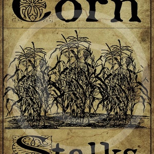 Primitive Old Fashioned Fall Autumn Corn Stalks Jpeg Digital  Image Pillow Jar Crate Can Box Bottle Label Hang tags Magnet Framed Print