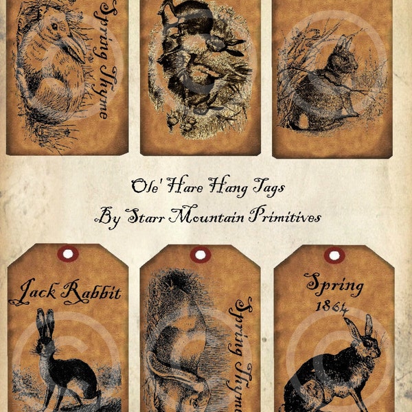 Primitive Spring Ole Hare Bunny Jack Rabbit  Jpeg Digital Stamp  Hang tags