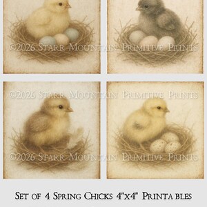 May include: A set of four 10cm x 10cm printable art prints. Each print depicts a chick in a nest with eggs. The chicks vary in colour, and the eggs have different patterns. The text reads "Set of 4 Spring Chicks 4"x4" Printables".