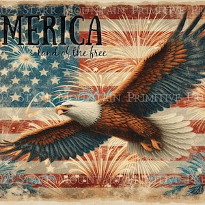 Primitive Patriotic Americana American Flag America Eagle Printable Jpeg 300 DPI Digital Image Label Tag Print Decoupage Canvas Card 8x10