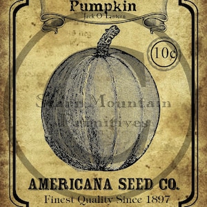 Primitiv höstpumpa, Jack O'Lantern-fröpaket, tryck i jpeg, digital bild, feedsack-logotyp för kuddar, burk, slowcooker-lådetikett, hängetiketter