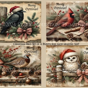Etiqueta colgante con imagen digital imprimible de 5 x 4 pulgadas con diseño de pájaros de invierno, estilo granja primitivo, sombrero de Papá Noel, letrero de lienzo para decoupage