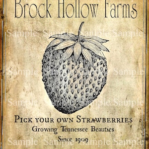 Primitive Vintage Strawberry Farm Jpeg Digital  Image Feedsack Logo for Pillows Pantry Labels Hang tags Magnets Ornies