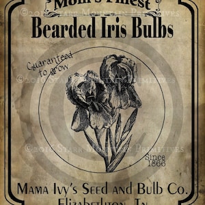 May include: Vintage style label for bearded iris bulbs. The label features a black and white illustration of iris flowers with the text "Mom's Finest Bearded Iris Bulbs", "Guaranteed to grow", "Since 1866", "Mama Ivy's Seed and Bulb Co.", and "Elizabethton, TN".
