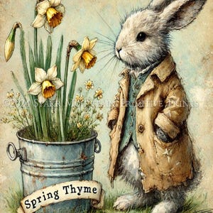 Könnte beinhalten: Ein weißes Kaninchen mit einem braunen Mantel und einer blauen Weste steht neben einem Eimer voller Narzissen. Der Eimer ist mit "Spring Thyme" beschriftet.