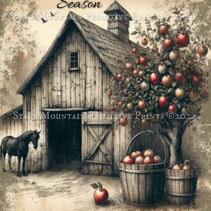 May include: A black and white illustration of a rustic barn with a red apple tree in front of it. The tree has a basket of red apples hanging from it. The text "APPLE Season" is at the top of the image.