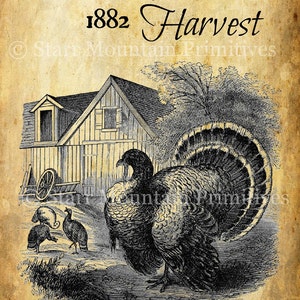 Primitive Homestead Harvest Turkey Thanksgiving Jpeg Digital  Image Pantry Label Feedsack Logo for Pillows Labels Hang tags Magnets Ornies