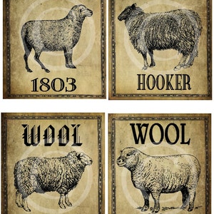 May include: Four vintage-style signs with black text and illustrations of sheep. The signs read "Wool 1803", "Wool Hooker", "Wool For Sale", and "Wool Hooker".