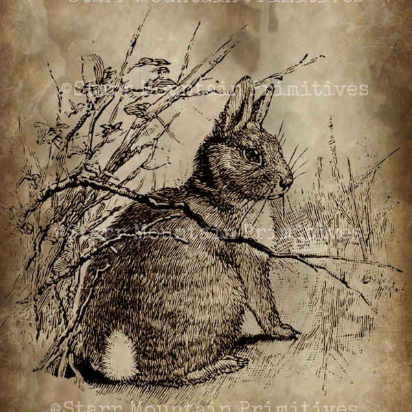 Primitive Vintage Hare Bunny Rabbit Jpeg Digital  Image Feedsack Logo for Pillows Pantry Labels Hang tags Magnets Ornies