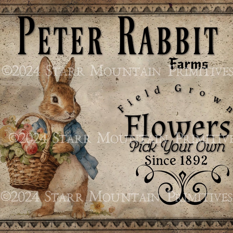 Peter Rabbit Pattern - Etsy
