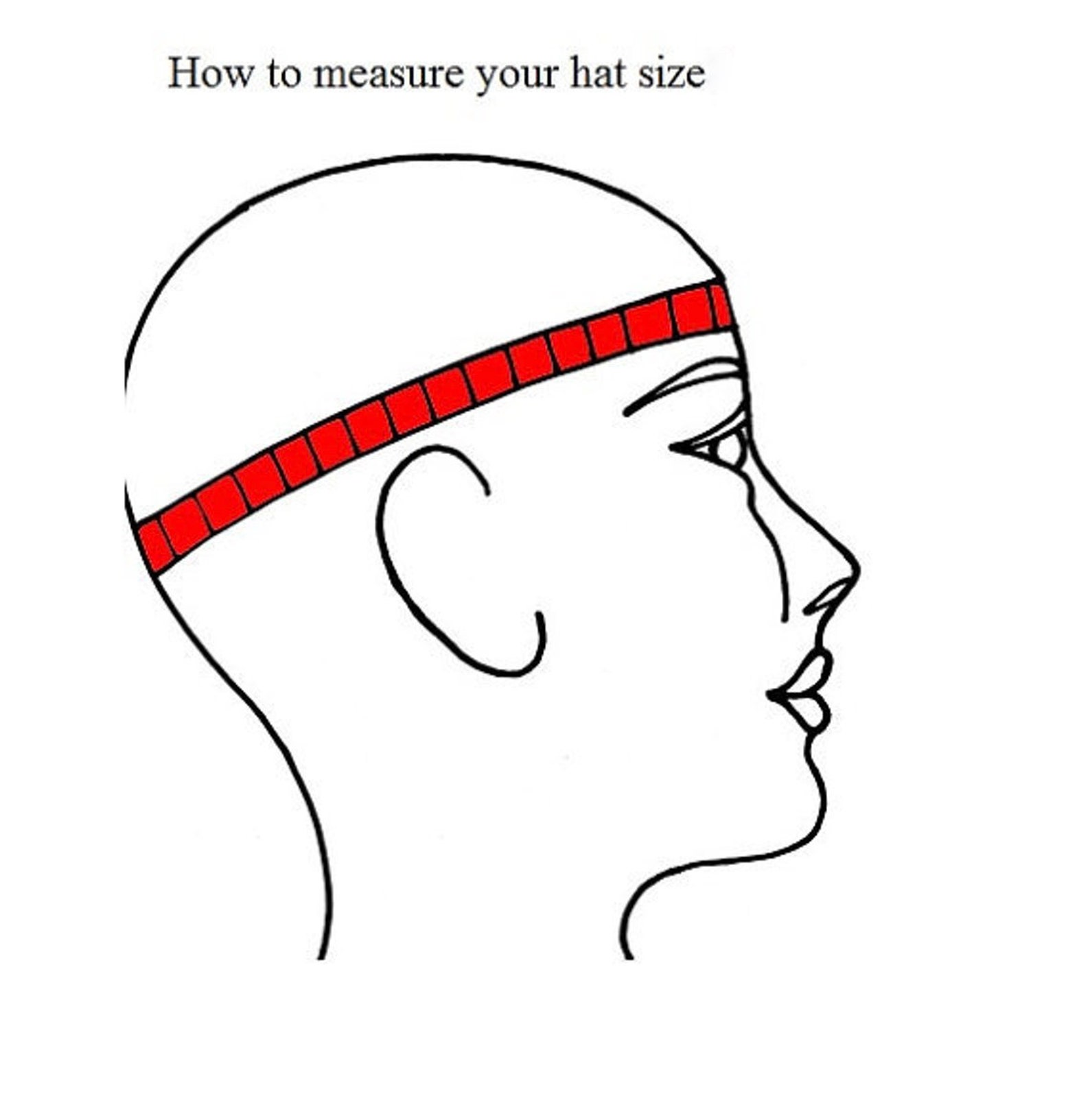 Head size script. Head size script