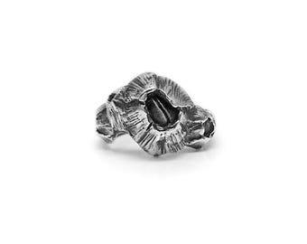 Barnacle ring with four barnacles, asymmetrical natural design
