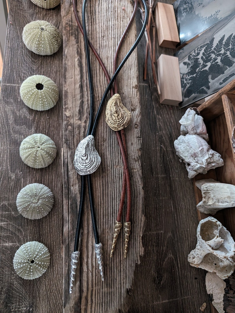 May include: Two leather bolo ties with shell-shaped pendants. One tie has a gold-colored pendant and the other has a silver-colored pendant. The ties are displayed on a wooden surface with sea urchins.