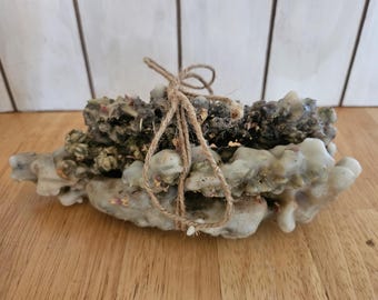 Mullein Torches