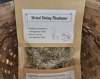 Dried Daisy Fleabane