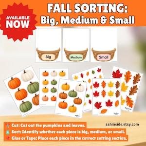Fall Pumpkin Leaf Sorting Activity | Big Medium Small Cut & Paste (Digital Download)