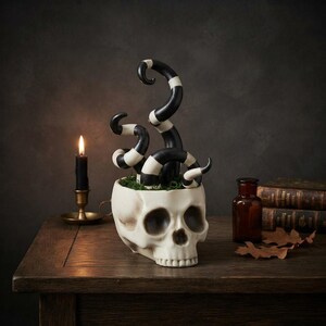 Halloween Skull Planter, Black and White Spooky Decor, Gothic Indoor Plant Pot