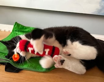 Kattenspeeltje haakpatroon | Catnip Dynamite TNT Toy Amigurumi Instant Download Pet Haak | Uniek cadeau | Huisdiercadeau Gemakkelijk te maken