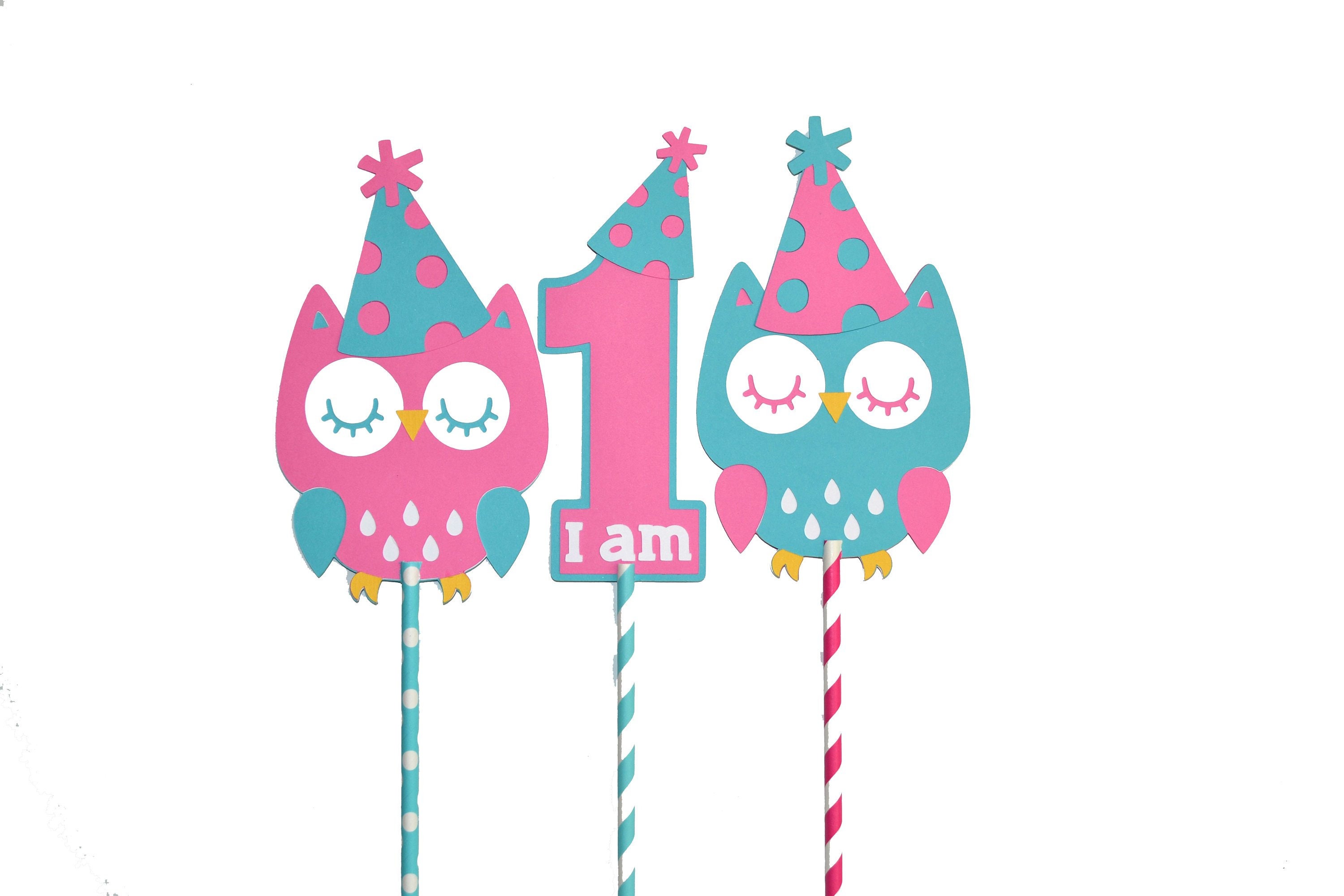 I Am One Owl Birthday Hat Centerpiece Girl First Birthday Etsy