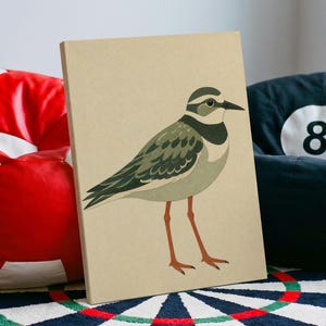 May include: A rectangular canvas print featuring a stylised illustration of a killdeer bird with olive-green and brown plumage, a white chest, and orange legs, set against a solid light tan background with a clean, minimalist aesthetic.
