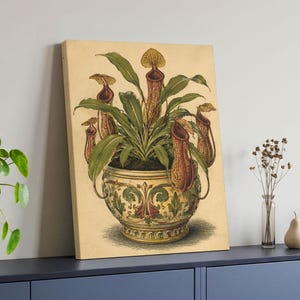 May include: A rectangular canvas print featuring a botanical illustration of a pitcher plant with green leaves and reddish-brown pitchers. The plant is potted in a decorative, ornate ceramic vessel with green and red floral patterns.