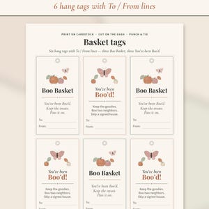 Boo Basket Kit Printable | You've Been Booed Porch and Window Sign, Boo'd Tags, Tradition Cards & Neighbor Checklist | Booed Basket PDF image 6