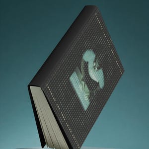 Può includere: Un libro con copertina rigida intitolato Cracking the Code Third Edition con una copertina nera caratterizzata da un motivo ripetitivo di piccoli numeri e una grafica centrale di una persona che digita su una tastiera di computer. Pagine bianche e dorso nero.