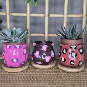 May include: Three small ceramic planters with rounded shapes and leopard print patterns in pink, brown, and terracotta. Each pot sits on a circular bamboo saucer. Two of the planters contain small green succulents, while the center pot is empty.