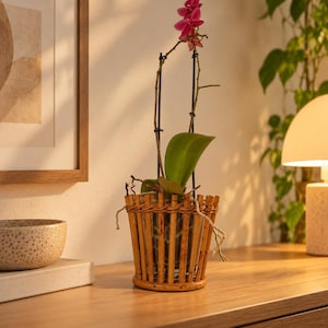 Puede incluir: Una orquídea en maceta con flores magenta vibrantes y hojas verdes anchas, dentro de un recipiente cilíndrico hecho de cañas verticales tipo bambú unidas por un borde trenzado, sostenida por dos varillas negras para su crecimiento.