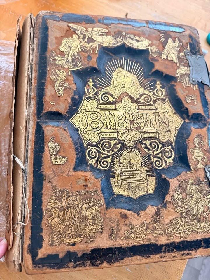 Family Bible Antique Illustrated - Etsy