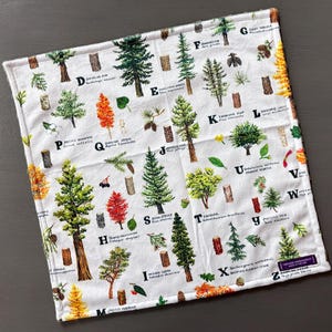 May include: A square white fabric cloth featuring a colorful botanical alphabet print. Each letter from A to Z is paired with a detailed illustration of a tree species, including leaves, cones, and bark, with scientific names printed in black text.
