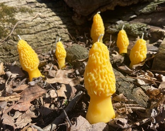 Morel Mushroom Beeswax Novelty Candle Ohio Beekeeper Made