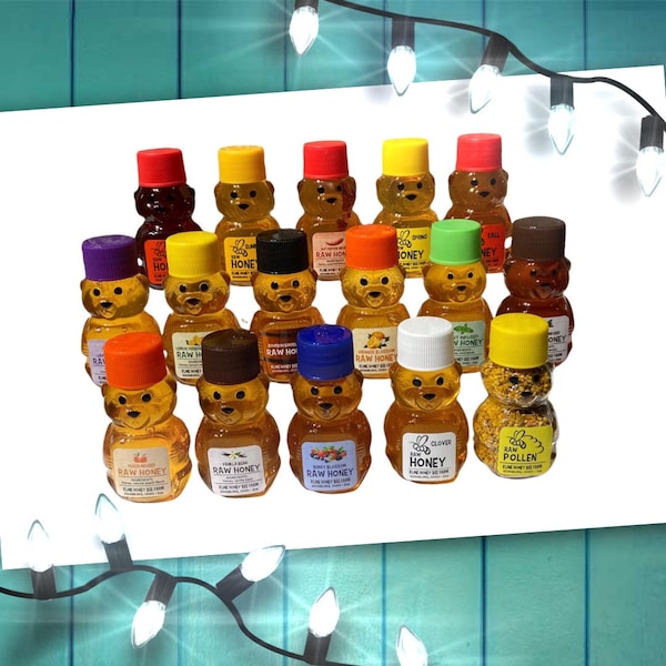 Assorted  Honey Bears--  16 varieties Bears from the Hive 2oz. each