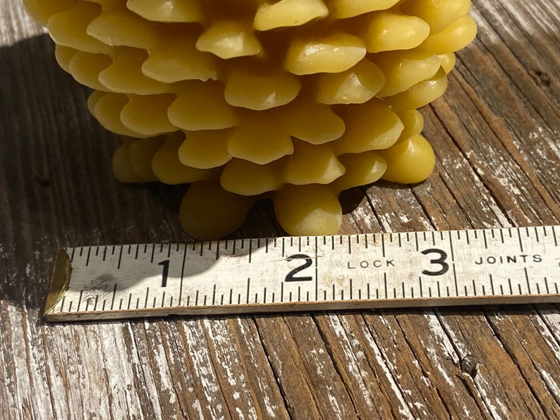 KlineHoneyBeeFarm Beeswax Pinecone Candle - Thumbnail 5