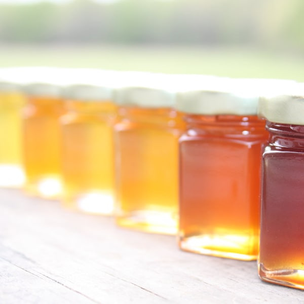 A Honey Tasting --  One sampler of our 2018 Honeys,  6 Varieties of Honey's from the Hive Ohio Proud