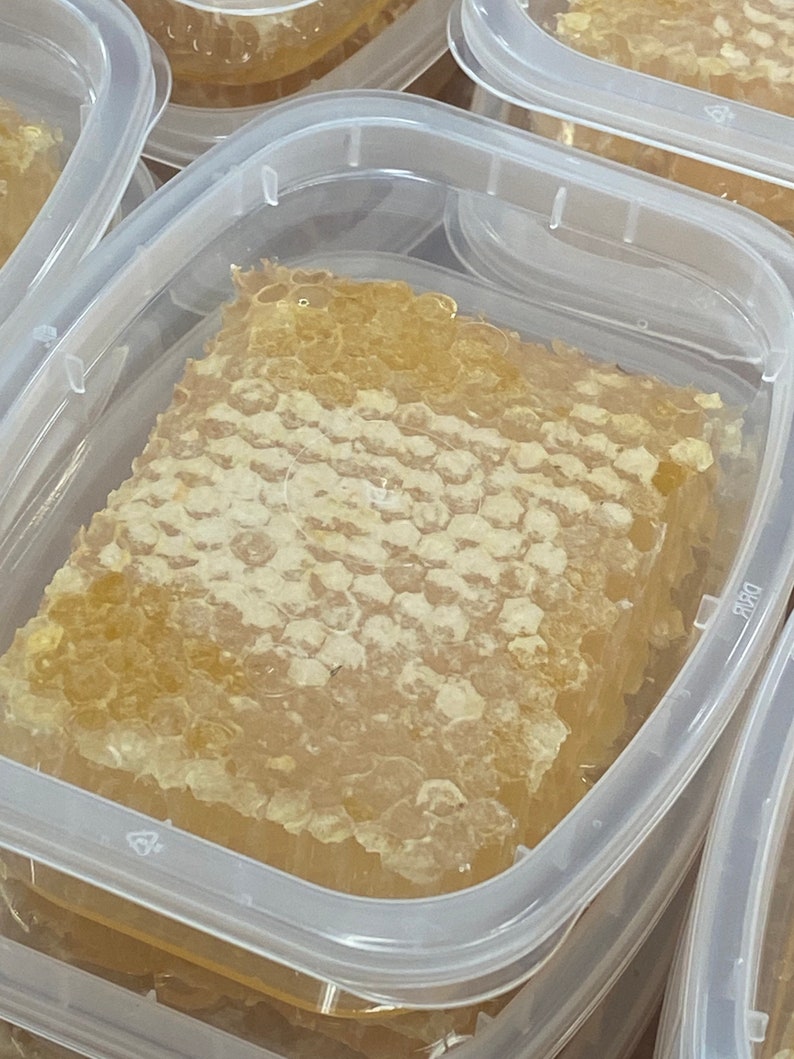 Raw Honey Comb Container 810 Oz. Natures Gum All Etsy