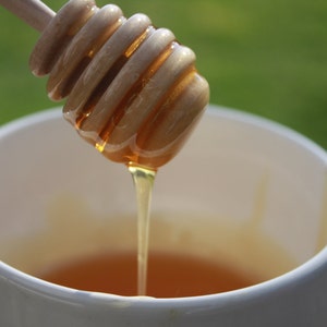 1/2 gallon, 6lbs Raw Honey Pure and Natural image 2
