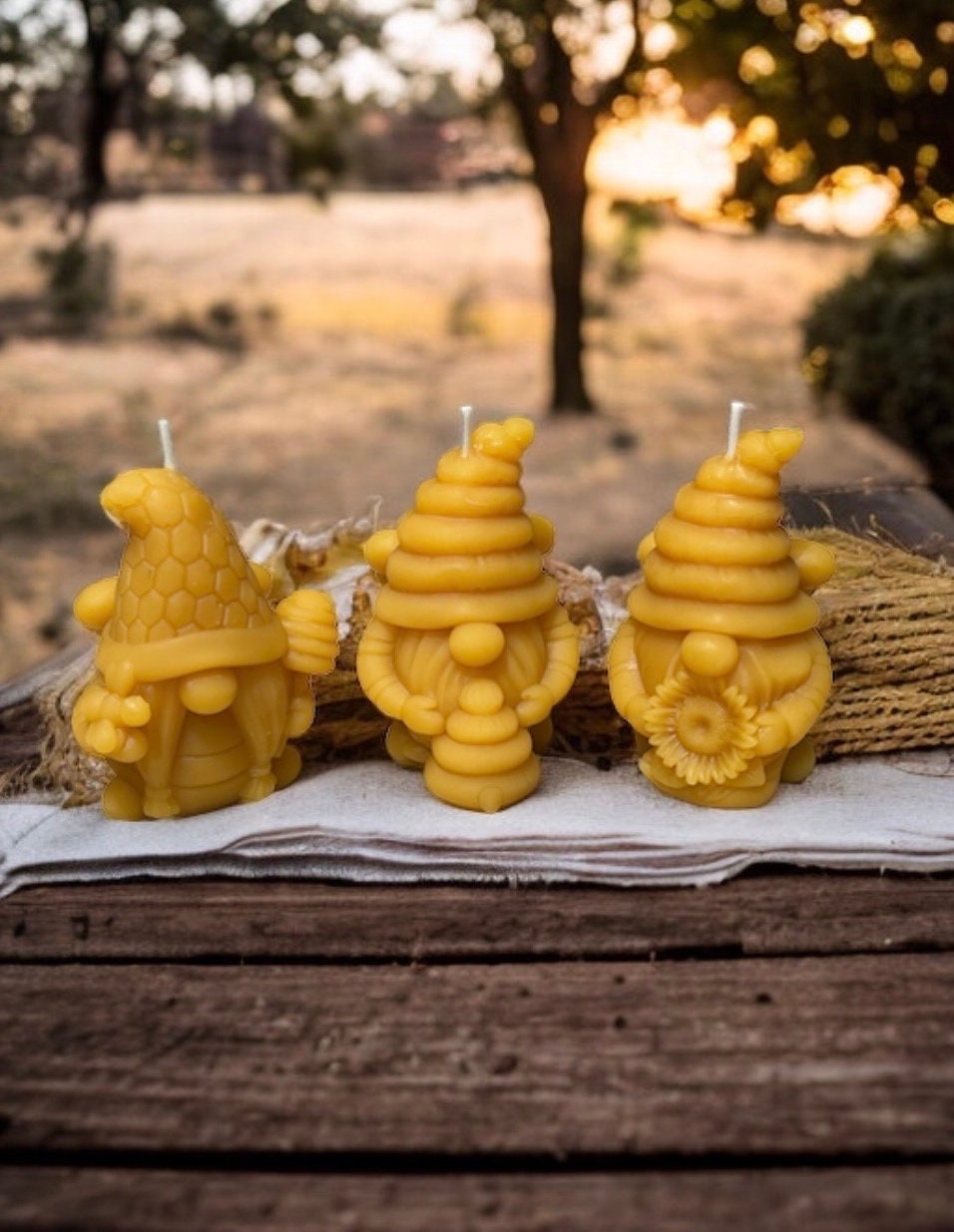 Local Honey and Bees Wax Candles - farm & garden - by owner - sale -  craigslist