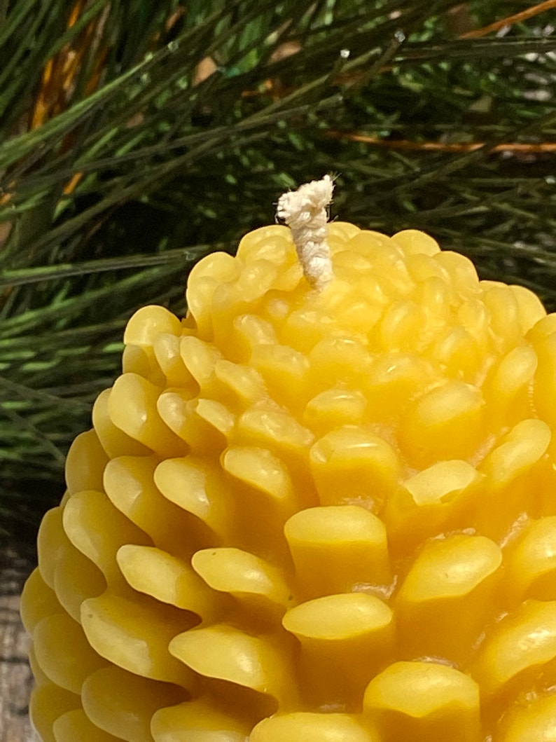 KlineHoneyBeeFarm Beeswax Pinecone Candle - Thumbnail 3