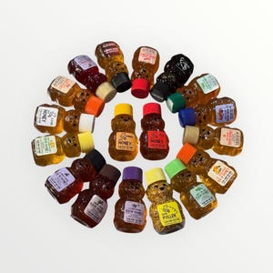 Assorted  Honey Bears--  16 varieties Bears from the Hive 2oz. each
