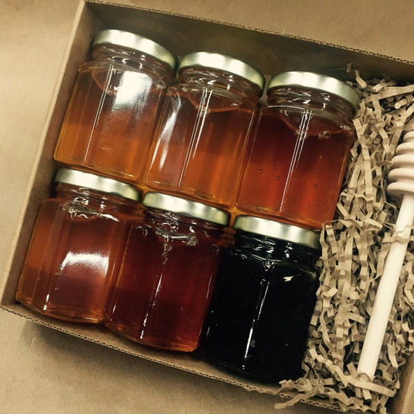 5 oz. Honey Tasting --  One sampler of our 2017 Honeys,  6 Varieties of Honey's from the Hive Ohio Proud