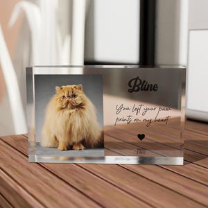Cat Sympathy Gift Acrylic Photo Block, Dog Sympathy Gift, Pet Memorial Plaque, Acrylic Photo Block, In loving memory | Pet memory gifts
