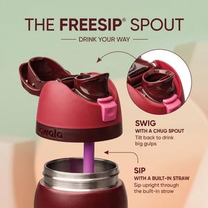 May include: A maroon and dark brown water bottle with a pink lid and a purple straw. The lid has a chug spout and a built-in straw. The text on the image reads "THE FREESIP&reg; SPOUT" and "DRINK YOUR WAY".