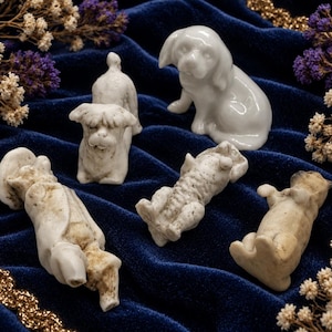 May include: A collection of five small dog figurines. One is a smooth, glossy white ceramic puppy in a sitting position. The other four are textured, off-white, weathered-looking dog sculptures in various poses, including sitting and lying down.