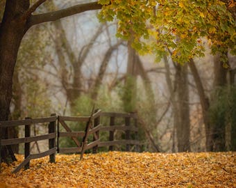 Digital background of fall country scene